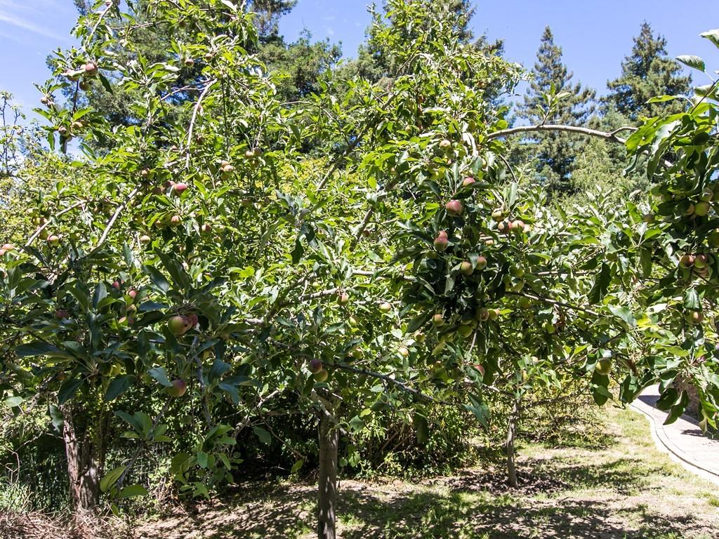 601 Old Hazel Dell Road Watsonville, CA 95076 - Photo 16 of 67