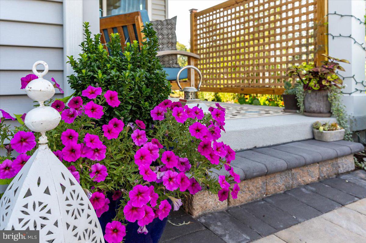 65 Old Forge Drive Ocean View, DE 19970 - Photo 51 of 69