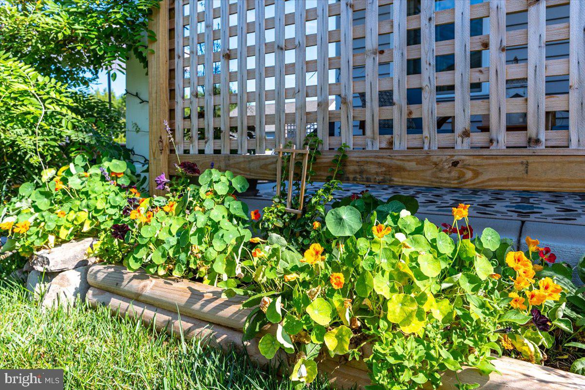 65 Old Forge Drive Ocean View, DE 19970 - Photo 53 of 69