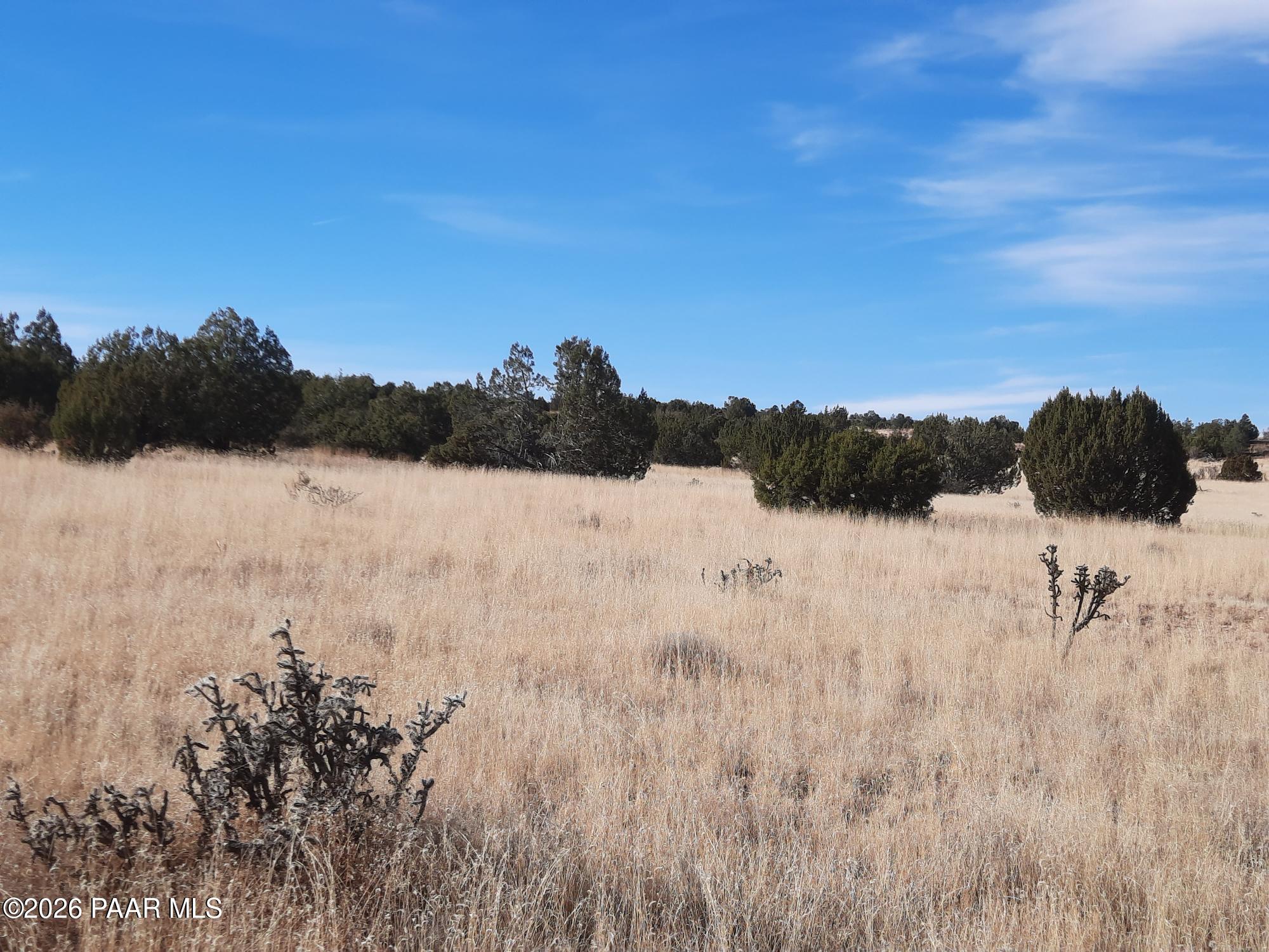 58840 North Tambor Road Seligman, AZ 86337 - Photo 2 of 10 a view of lake view and mountain view