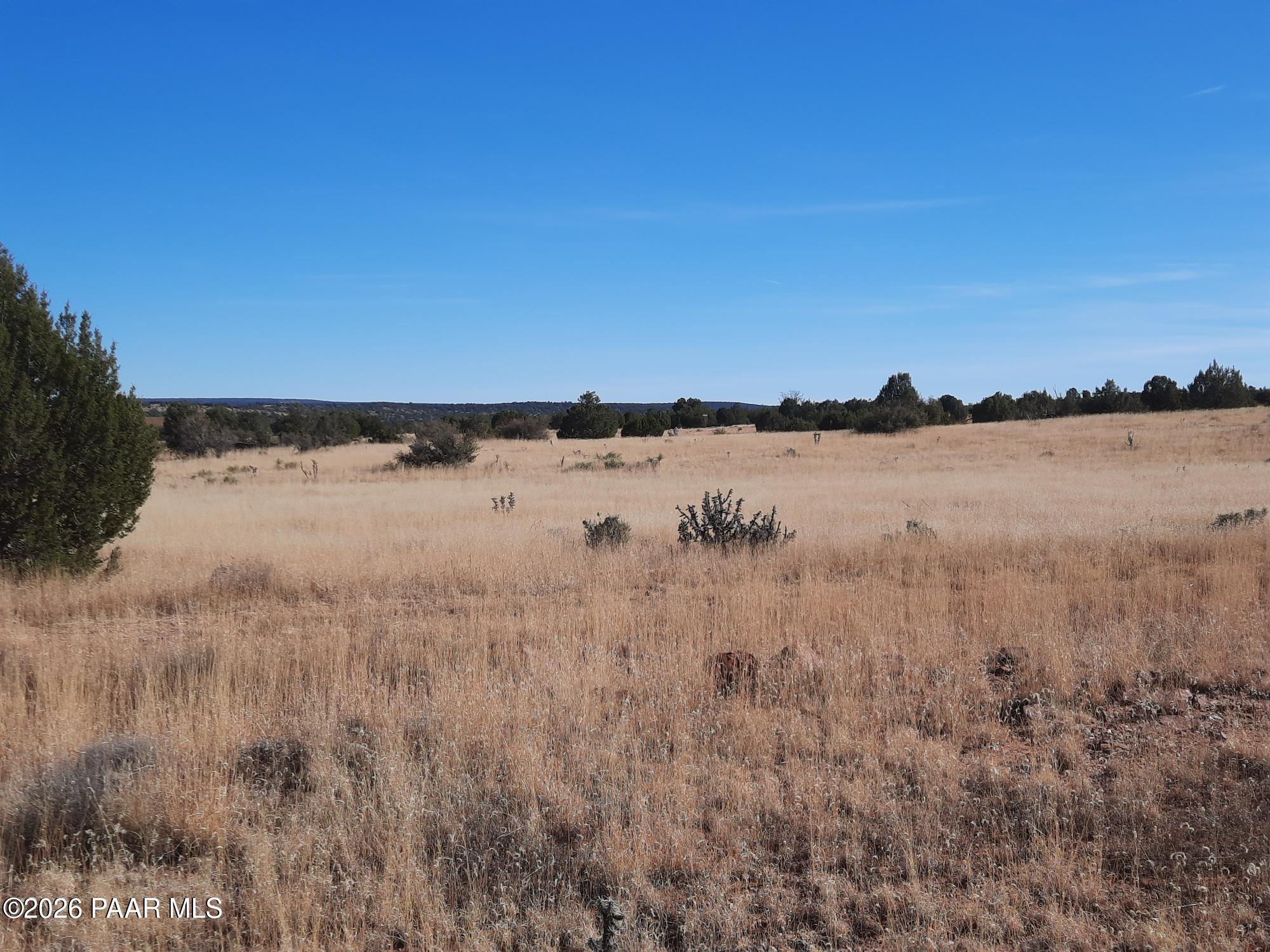 58840 North Tambor Road Seligman, AZ 86337 - Photo 3 of 10 a view of a lake view