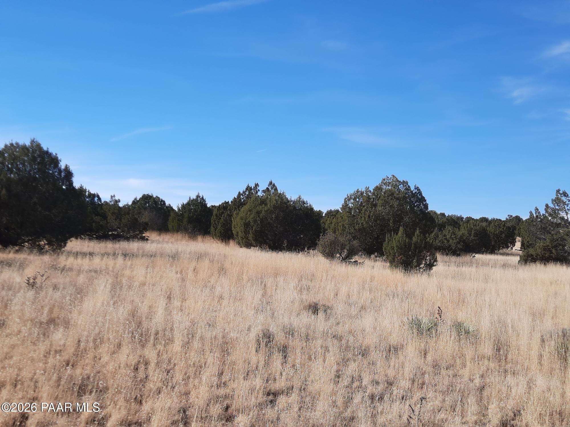 58840 North Tambor Road Seligman, AZ 86337 - Photo 4 of 10 a view of lake with mountain view