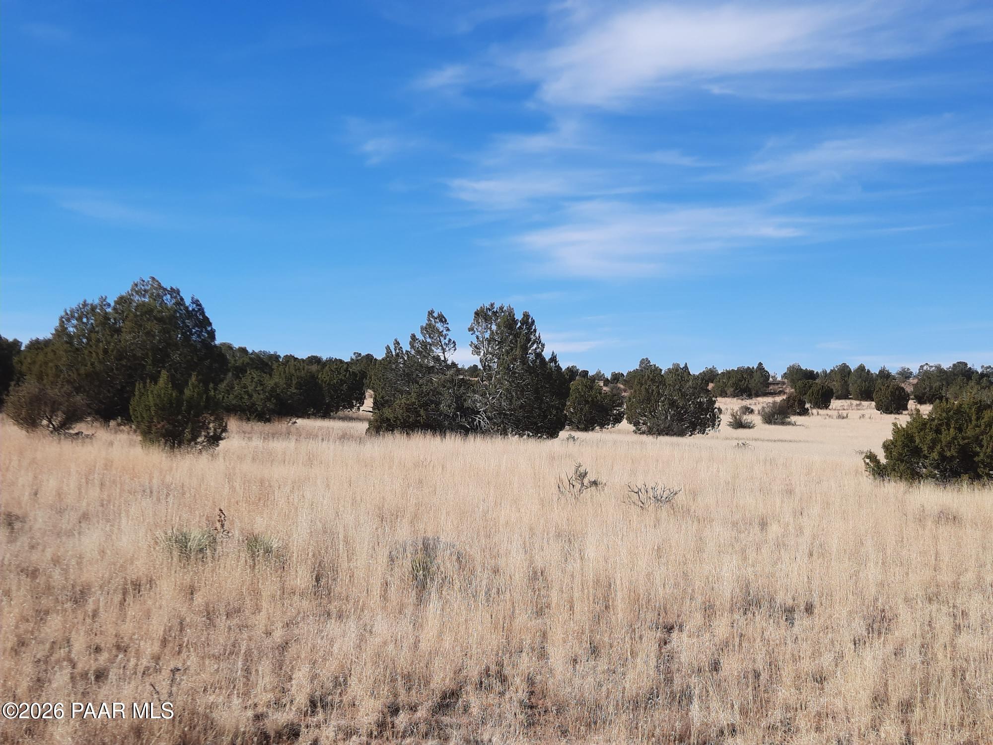 58840 North Tambor Road Seligman, AZ 86337 - Photo 5 of 10 a view of outdoor space and yard