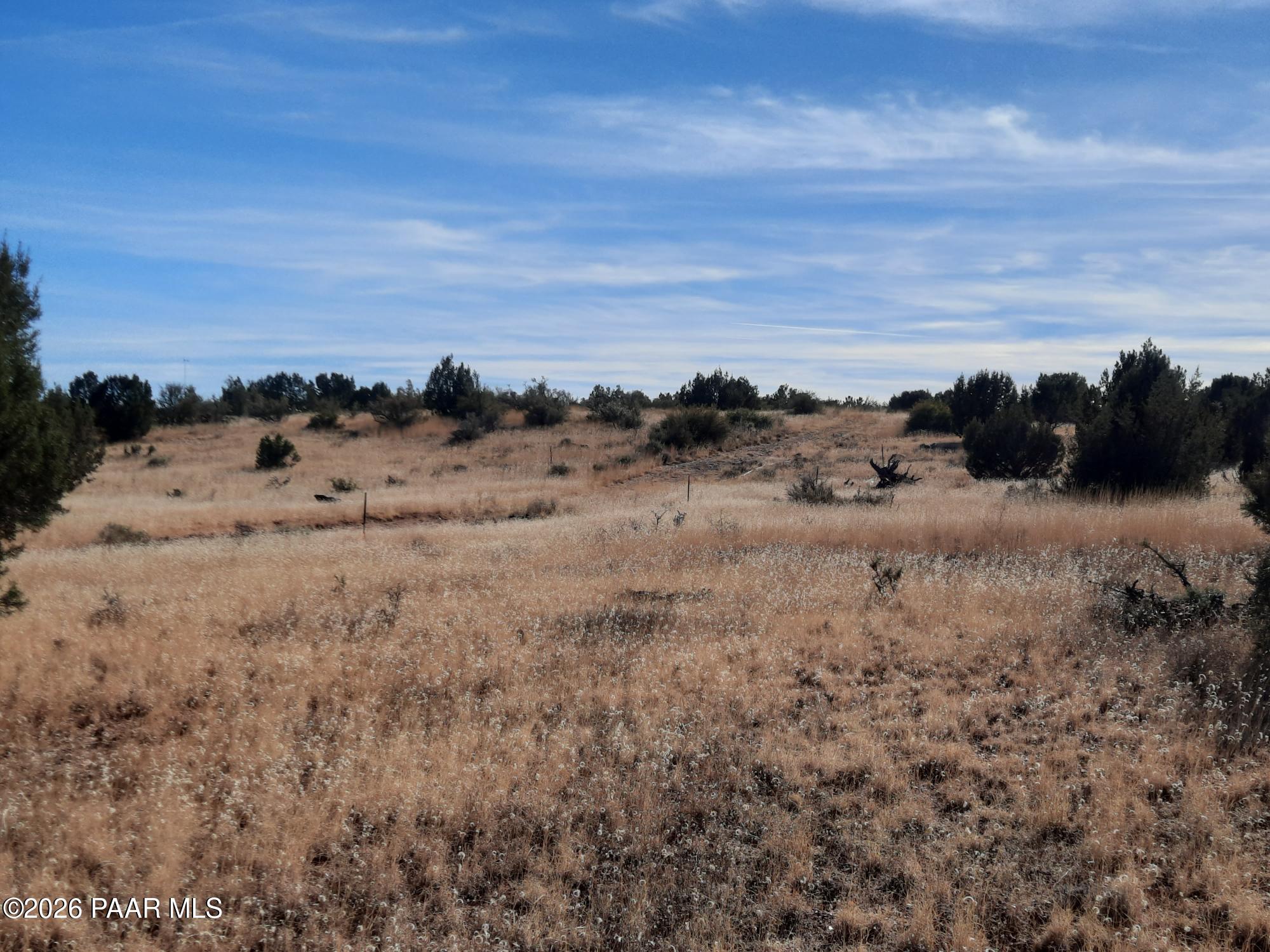 58840 North Tambor Road Seligman, AZ 86337 - Photo 7 of 10 a view of a dry field