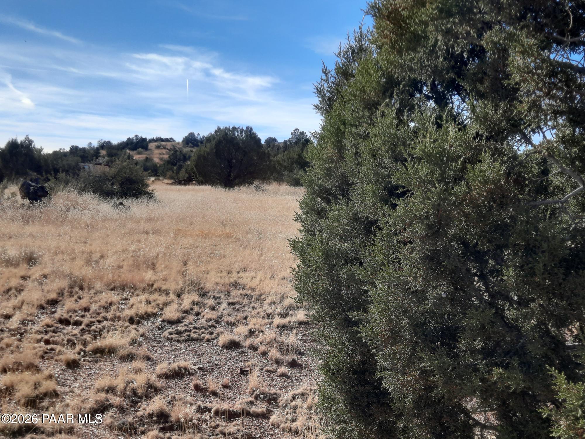 58840 North Tambor Road Seligman, AZ 86337 - Photo 8 of 10 a view of mountain view with lots of trees