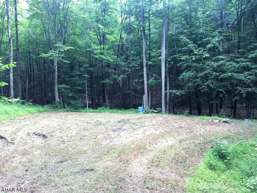 11.7-ac Elbinsville Road Flintstone, MD 21530 - Photo 15 of 18 Gallery Image 15
