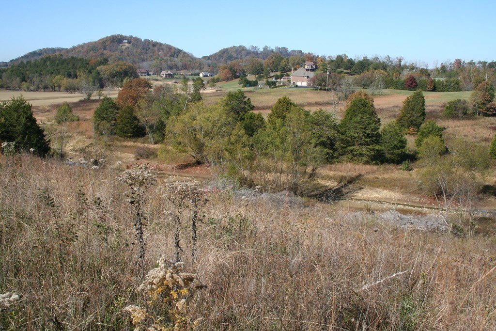 2 Rainwater Road Dandridge, TN 37725 - Photo 14 of 14 Gallery Image 14
