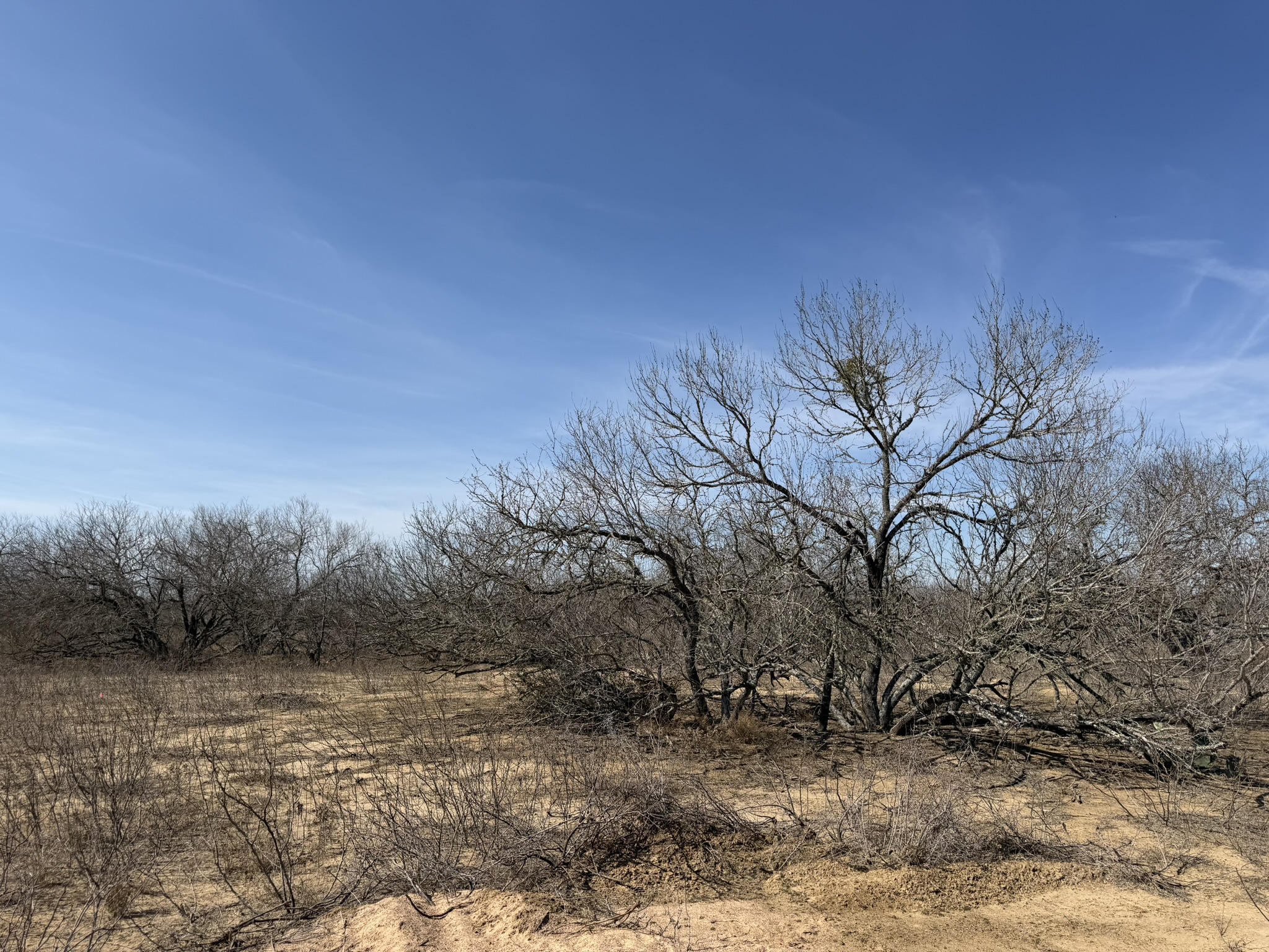 1420 Barth Road Dale, TX 78616 - Photo 3 of 6