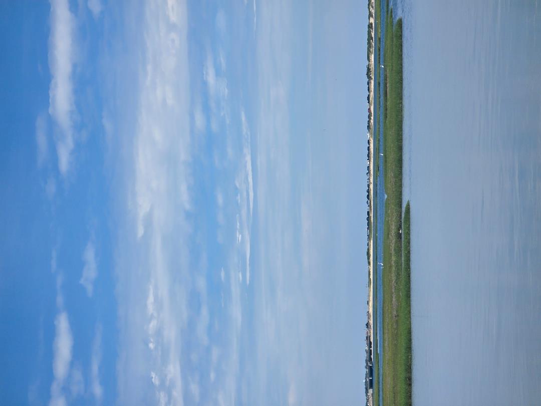 49 The Boulevard Edgartown, MA 02539 - Photo 27 of 49 Gallery Image 27