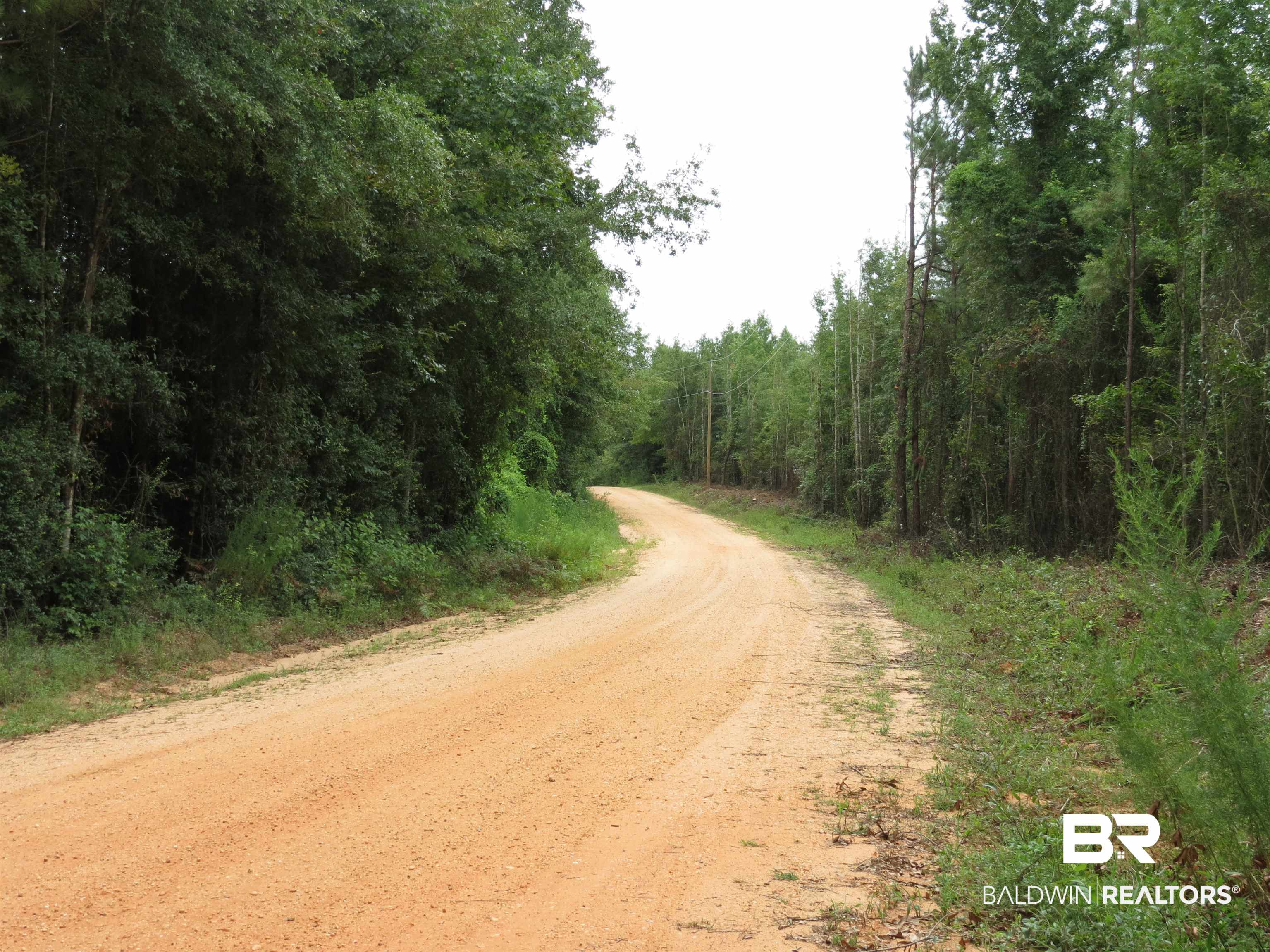 1045 Poole Road Castleberry, AL 36432 - Photo 25 of 27 Poole Road