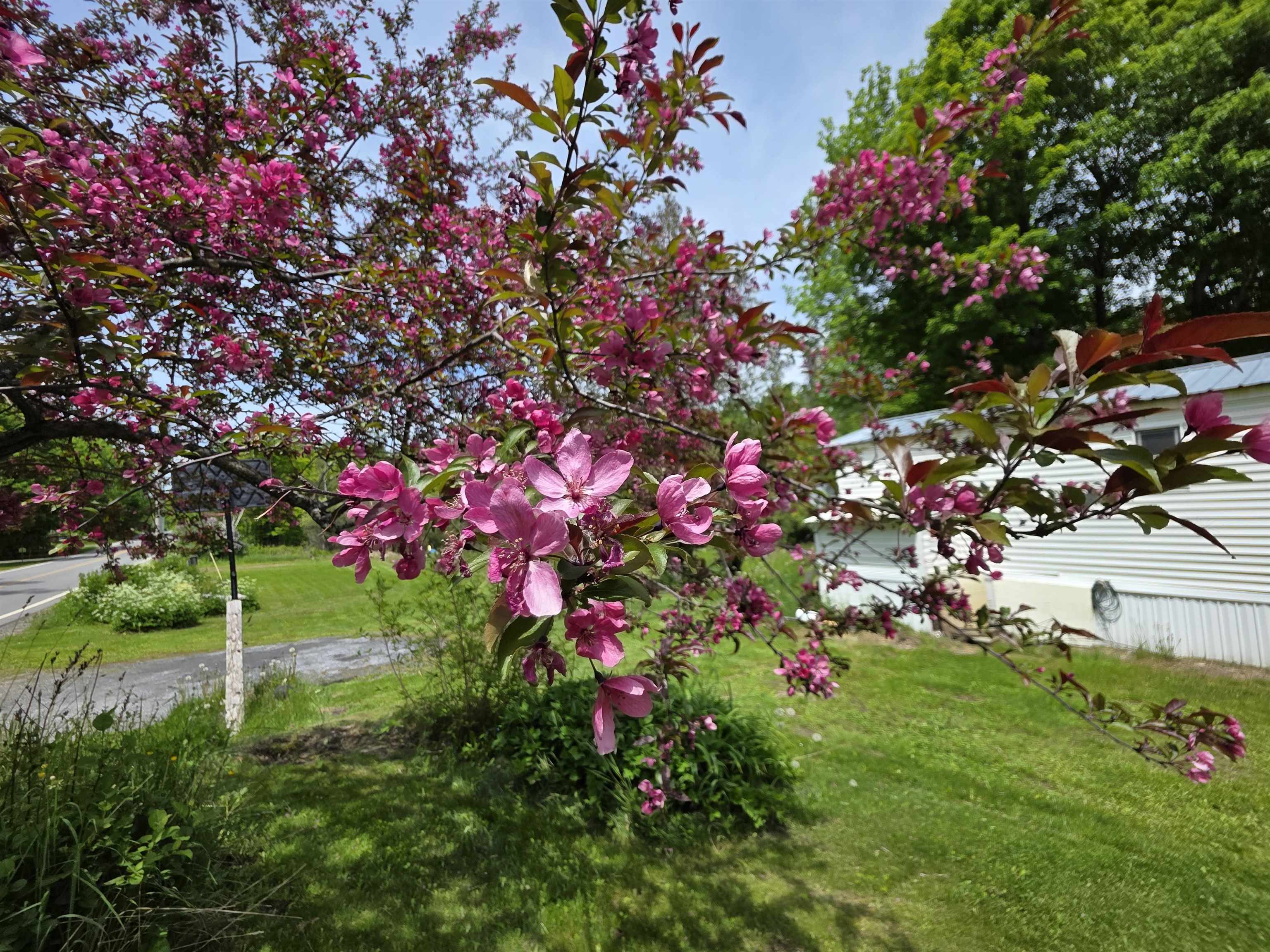 2731 Vt Route Marshfield, VT 05658 - Photo 45 of 45