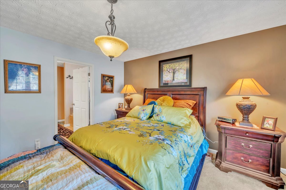 406 Horseshoe Bend Road Montezuma, GA 31063 - Photo 23 of 71