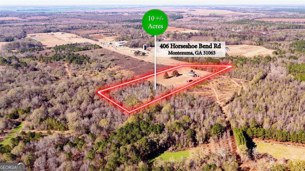 406 Horseshoe Bend Road Montezuma, GA 31063 - Photo 4 of 71