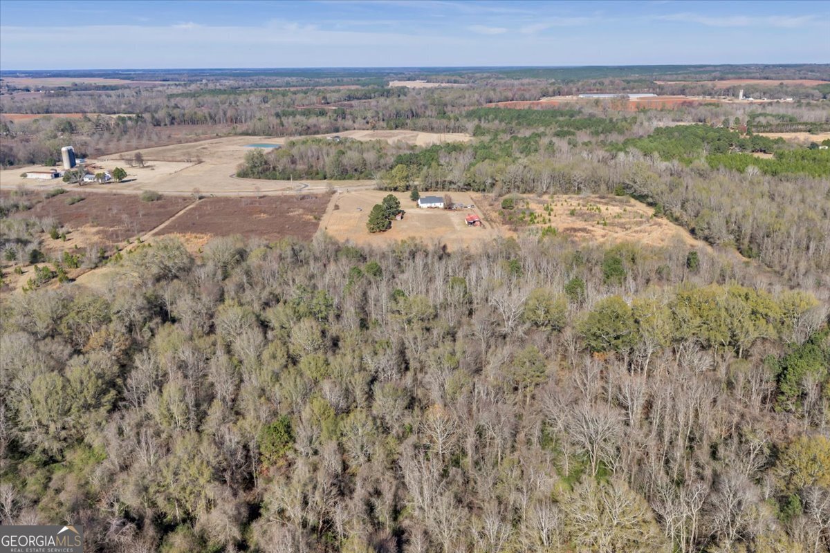 406 Horseshoe Bend Road Montezuma, GA 31063 - Photo 41 of 71
