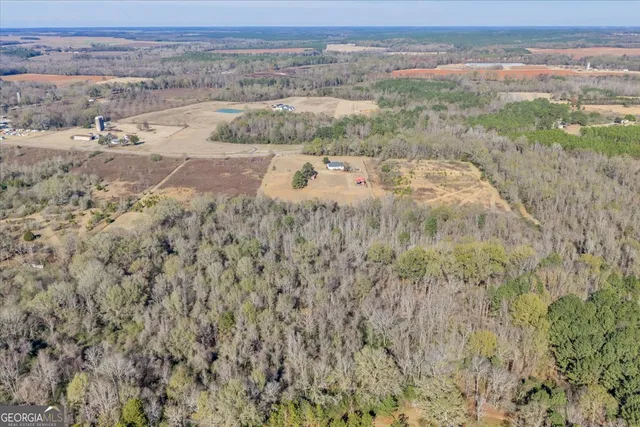 $399,000 | 406 Horseshoe Bend Road, Montezuma, GA 31063