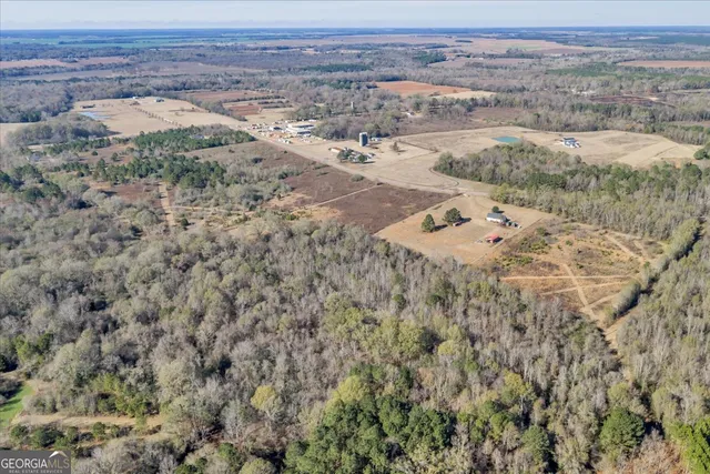 $399,000 | 406 Horseshoe Bend Road, Montezuma, GA 31063