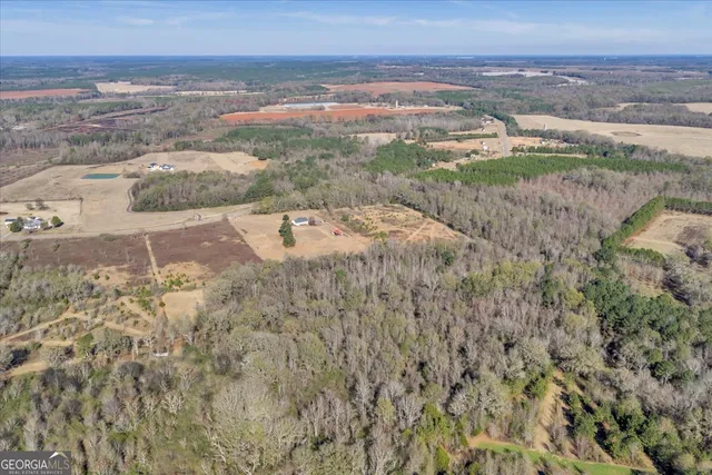 $399,000 | 406 Horseshoe Bend Road, Montezuma, GA 31063