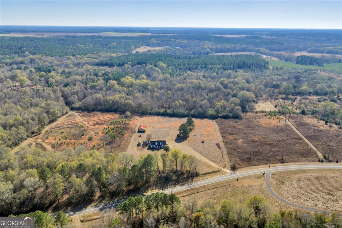 406 Horseshoe Bend Road Montezuma, GA 31063 - Photo 64 of 71