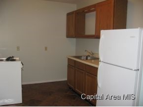 1007 North 4th Street Springfield, IL 62702 - Photo 5 of 8