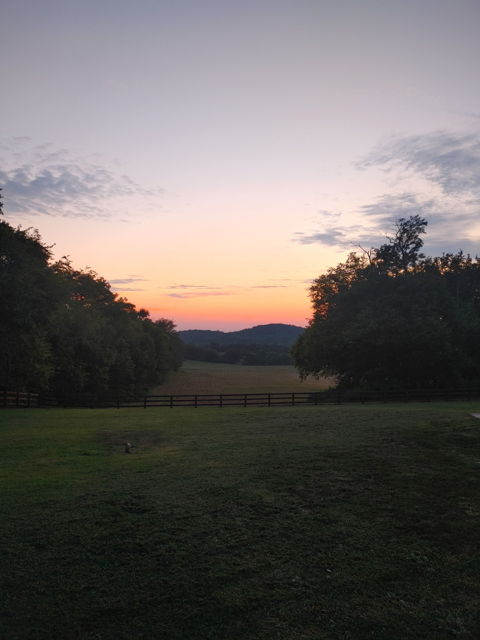 3030 Cherry Corner Road Cornersville, TN 37047 - Photo 65 of 66