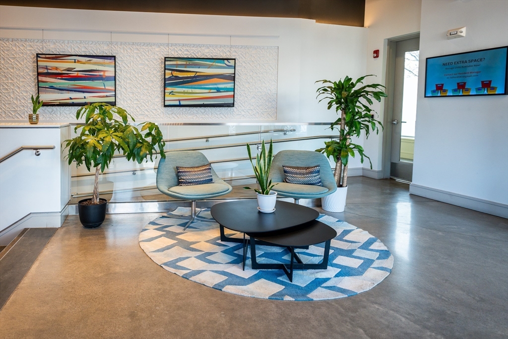 180 Telford Street, Unit 605 Boston, MA 02135 - Photo 2 of 24 a living room with furniture and a potted plant