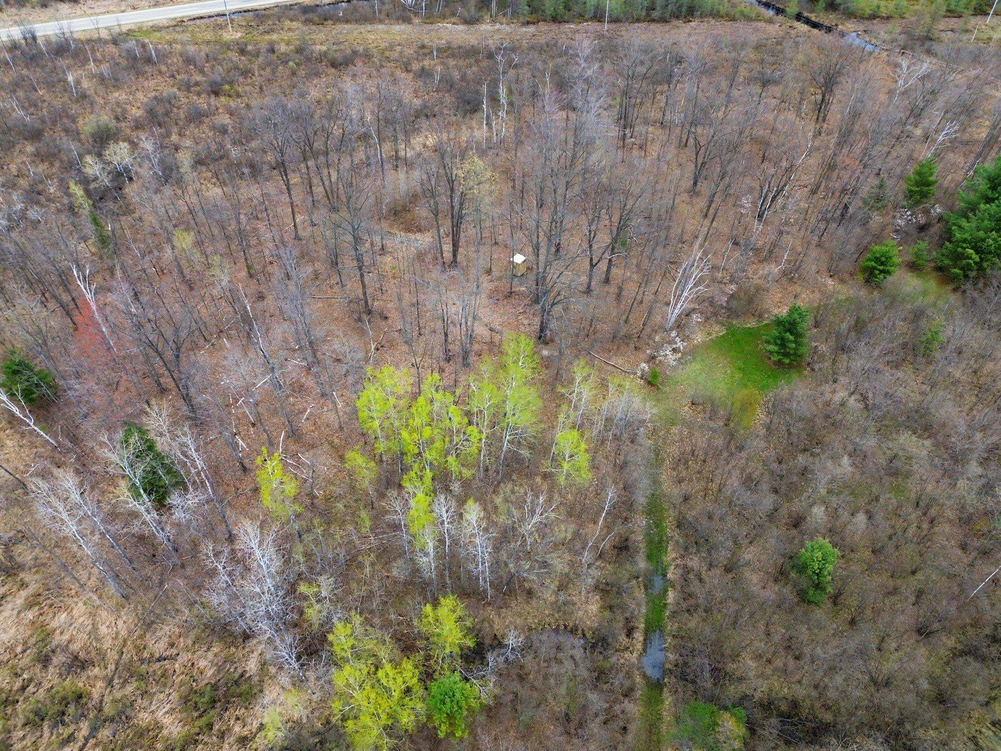 4921 East County Line Road Hale, MI 48739 - Photo 15 of 30