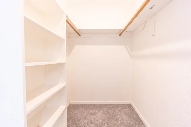 a bathroom with a shower and a toilet