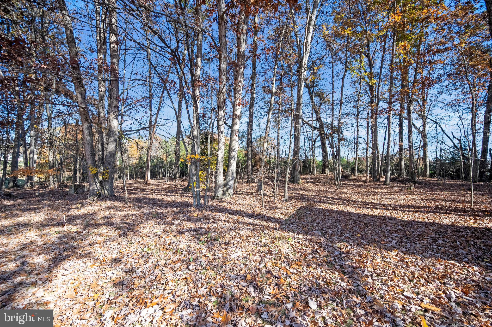 21447 Yellow Bottom Road Lignum, VA 22726 - Photo 37 of 38 Gallery Image 37