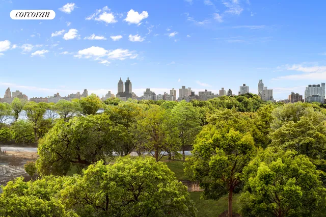 a view of a bunch of trees and a street view