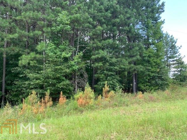 0 Mt Carmel Road, Unit 20 ACRES Gay, GA 30218 - Photo 1 of 1 a view of outdoor space and green field