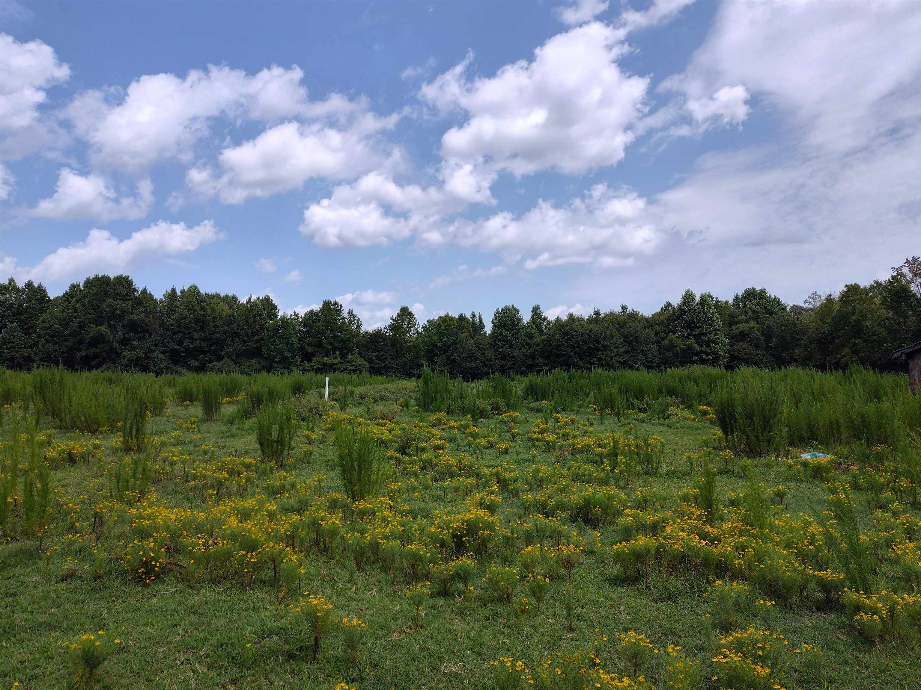 190 Griffin Road Chesnee, SC 29323 - Photo 3 of 5