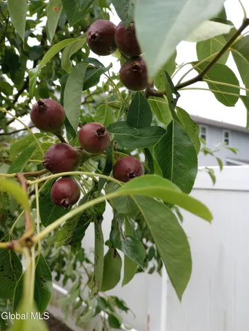 $639,000 | 55 Alpine Drive, Colonie, NY 12110