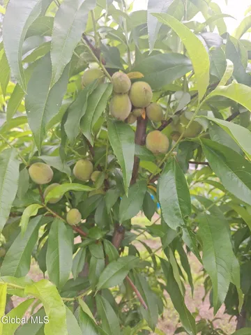 $639,000 | 55 Alpine Drive, Colonie, NY 12110