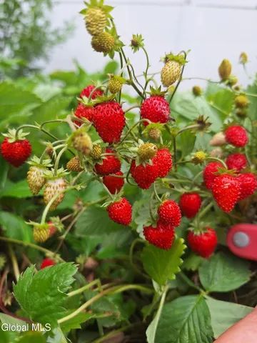 $639,000 | 55 Alpine Drive, Colonie, NY 12110