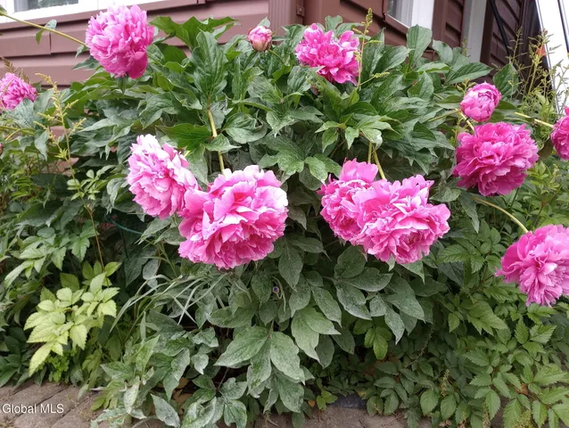 $639,000 | 55 Alpine Drive, Colonie, NY 12110