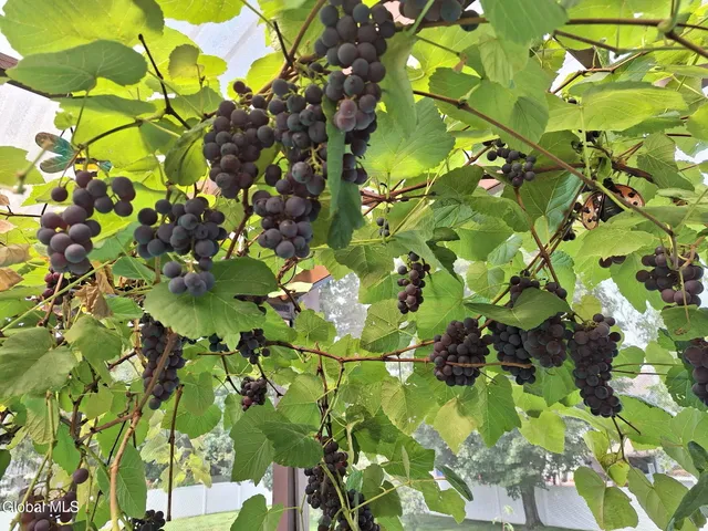 $639,000 | 55 Alpine Drive, Colonie, NY 12110