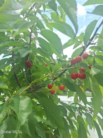 $639,000 | 55 Alpine Drive, Colonie, NY 12110