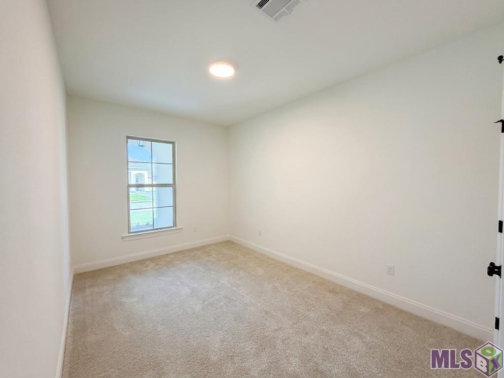 151 Spring Grove Loop Thibodaux, LA 70301 - Photo 19 of 24