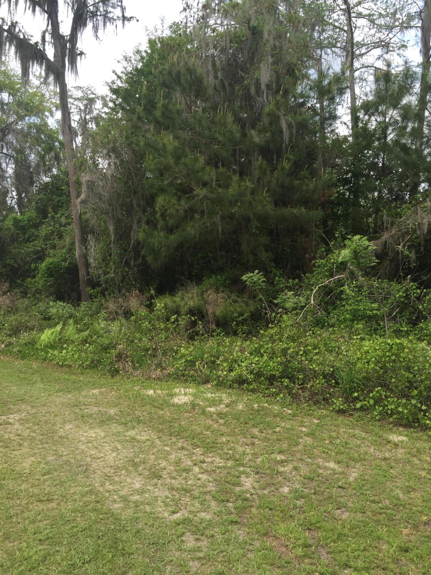 0 Southwest 90th Hampton, FL 32044 - Photo 6 of 8 HAMPTON LAKE