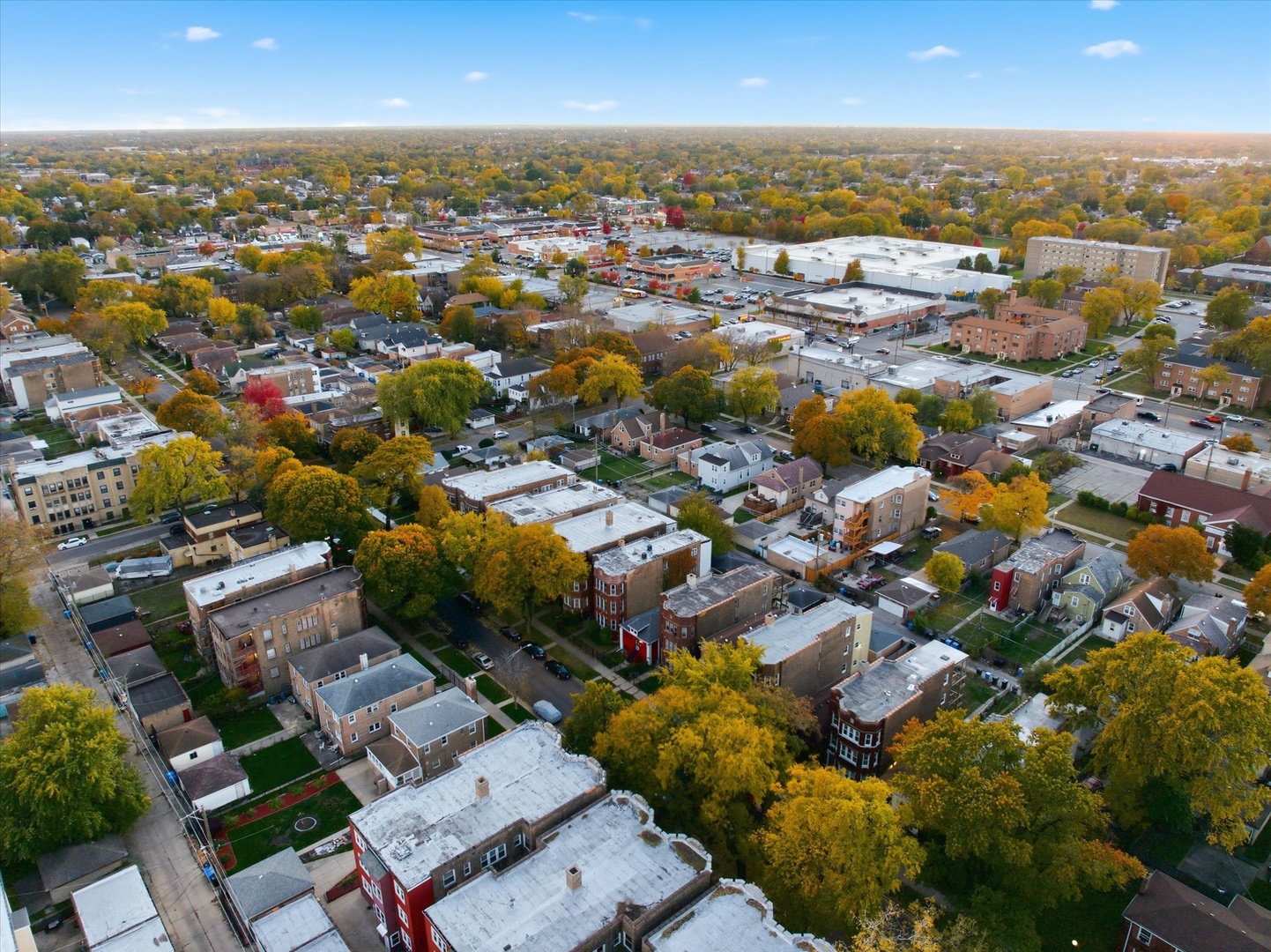 8434 South Drexel Avenue Chicago, IL 60619 - Photo 16 of 19 an aerial view of residential houses with city view