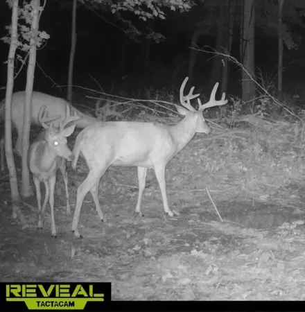 $249,000 | 51133 Creglow Road, Marcellus, MI 49067