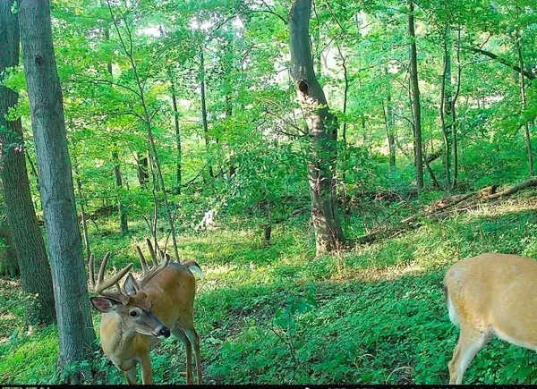 $249,000 | 51133 Creglow Road, Marcellus, MI 49067