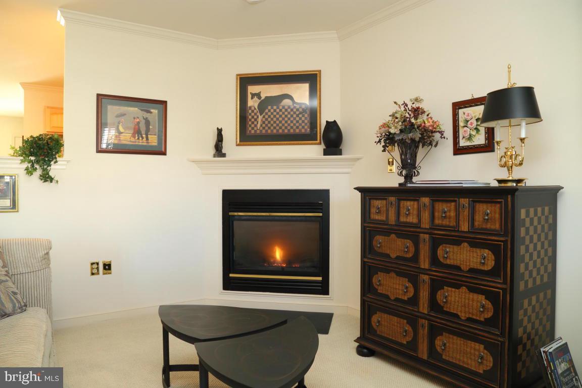 650 Chickadee Drive Lititz, PA 17543 - Photo 3 of 18