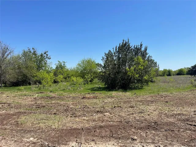 a view of a yard with a tree