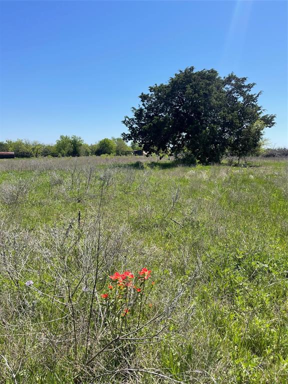 Tbd Lot 12 East Tbd Street Meridian, TX 76665 - Photo 18 of 31 a view of a lake with a yard