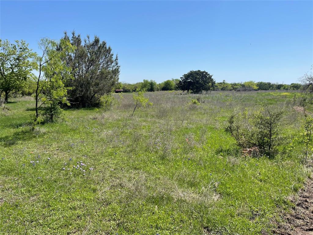 Tbd Lot 12 East Tbd Street Meridian, TX 76665 - Photo 6 of 31 a view of lake with green space