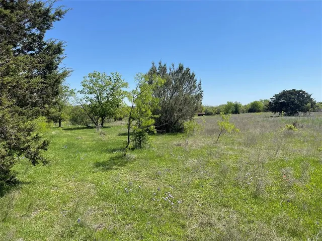 a view of a field with a tree
