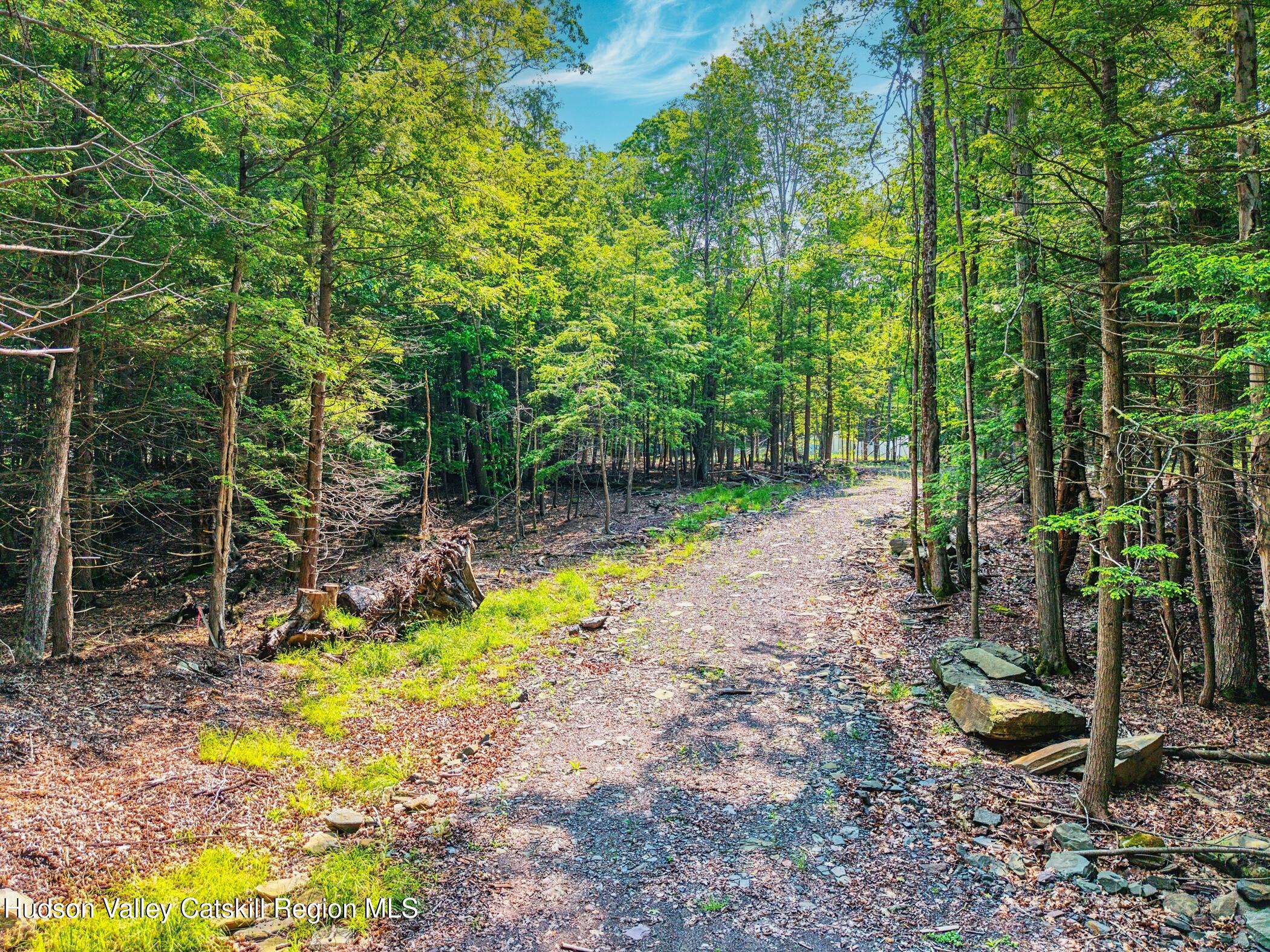 Tbd Boulder Brook Road Windham, NY 12496 - Photo 14 of 57 Image-2