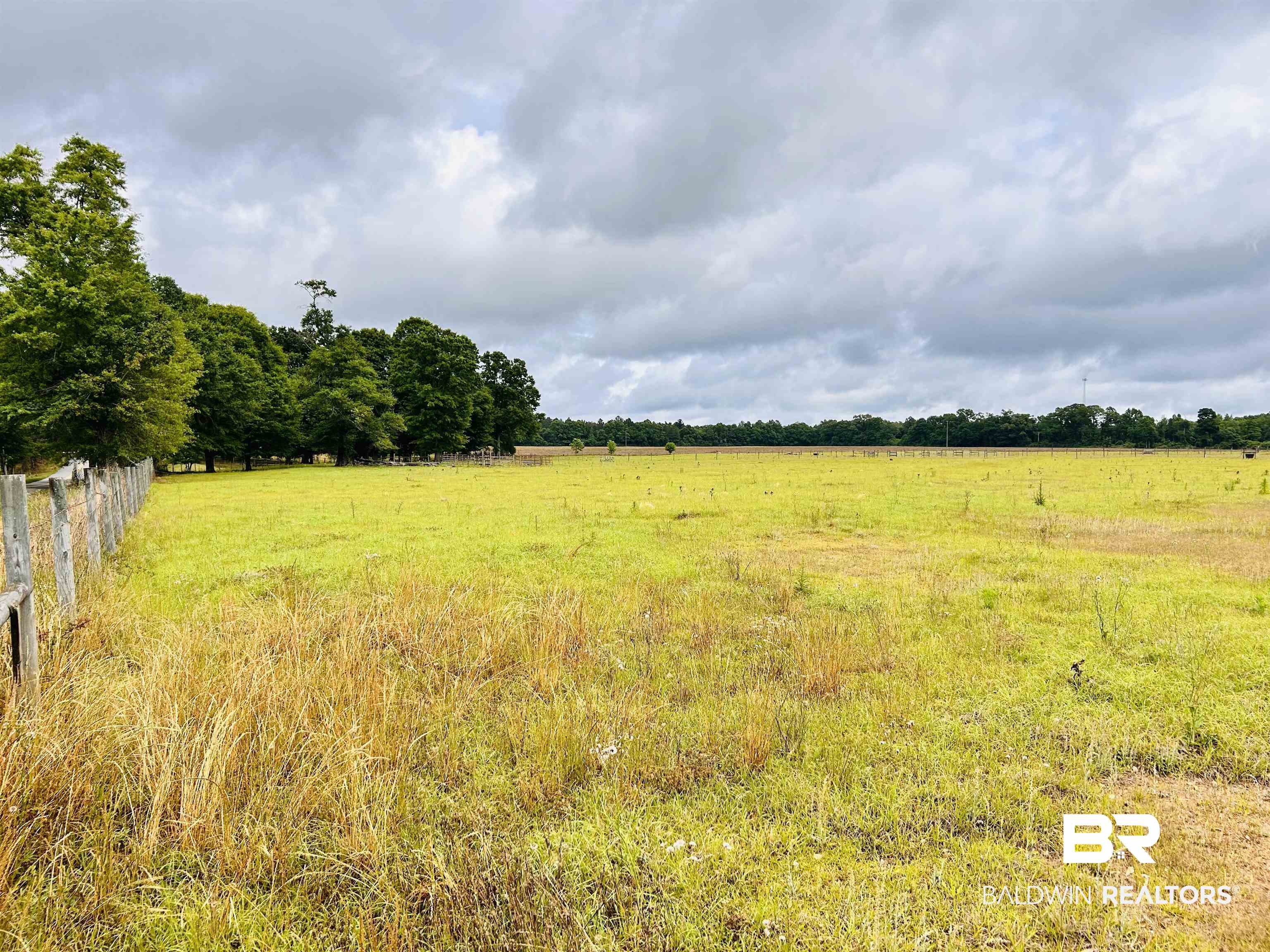 822 Dogwood Road Brewton, AL 36426 - Photo 2 of 5