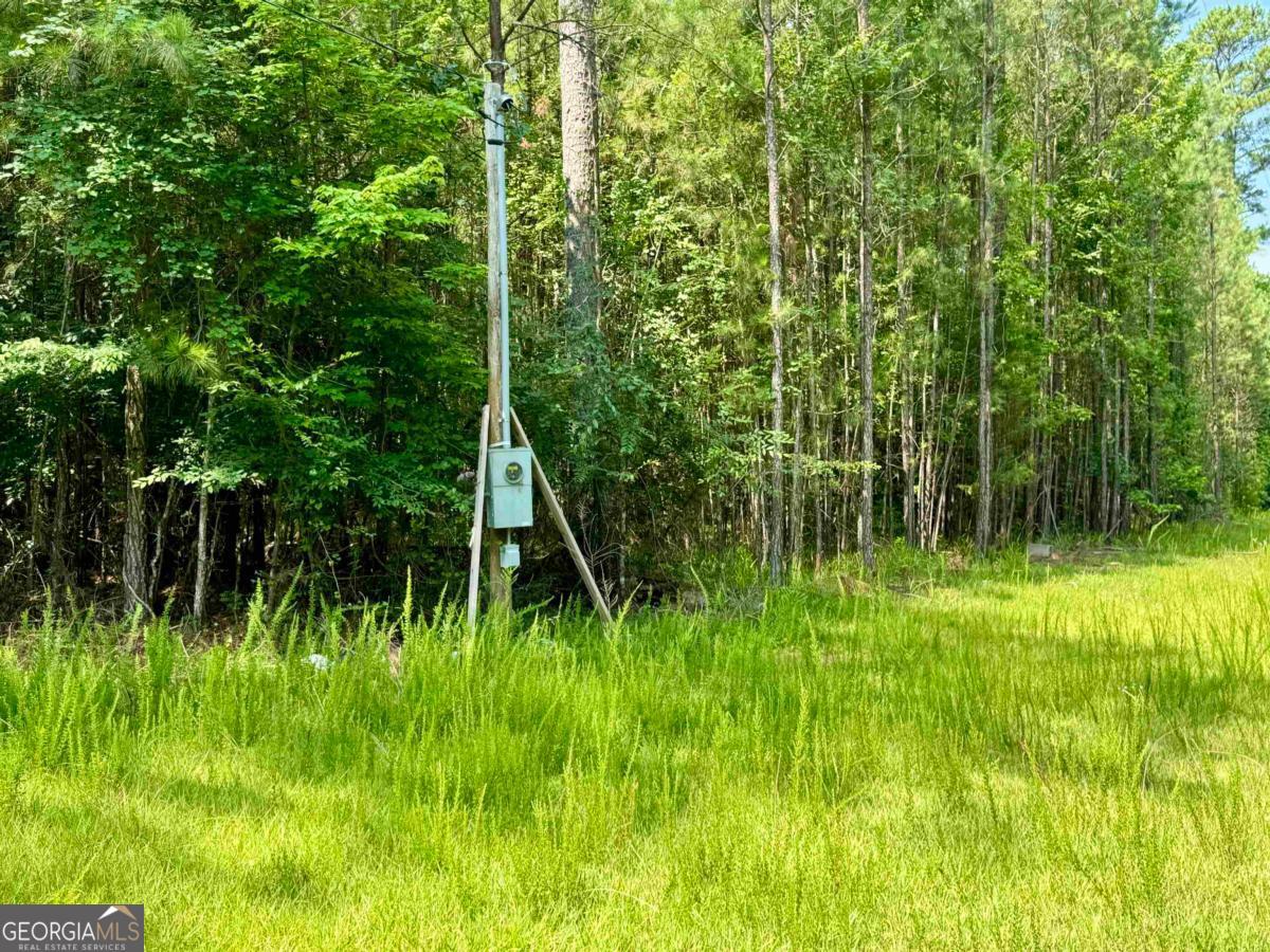0 Springfield / Turner Road Union Point, GA 30669 - Photo 14 of 34